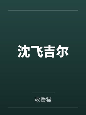 沈飞吉尔